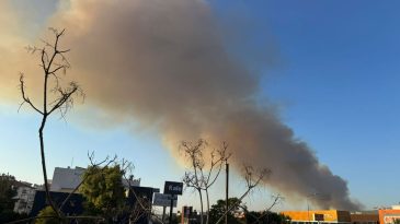 İzmir Buca'da Orman Yangını: Trafik Tek Şeride Düştü