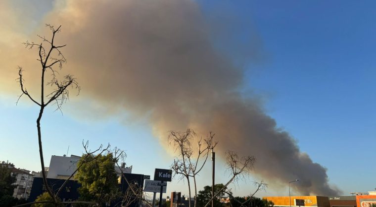 İzmir Buca'da Orman Yangını: Trafik Tek Şeride Düştü