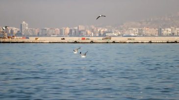 İzmir K&ouml;rfezi Yeniden Kirlilik Sorunu ile Karşı Karşıya