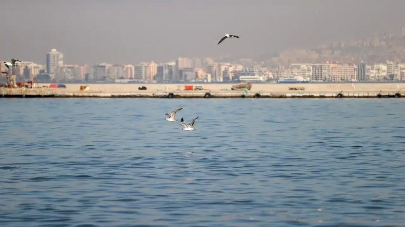İzmir Körfezi Yeniden Kirlilik Sorunu ile Karşı Karşıya