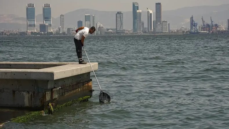 İzmir Körfezi'nde Balık Ölümleri: Uzman Açıklamalarla Çözüm Sunuyor