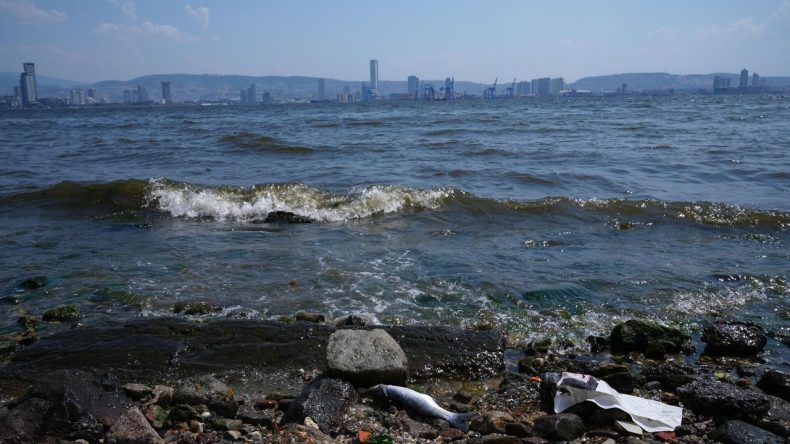 İzmir Milletvekilinden Körfez Kirliliğine Tepki: Taşın Altına Elinizi Koyun!
