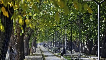 İzmir'in En G&ouml;zde Yollarından Biri: Dutlu Yol