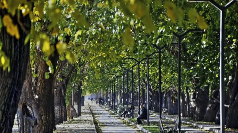İzmir'in En Gözde Yollarından Biri: Dutlu Yol