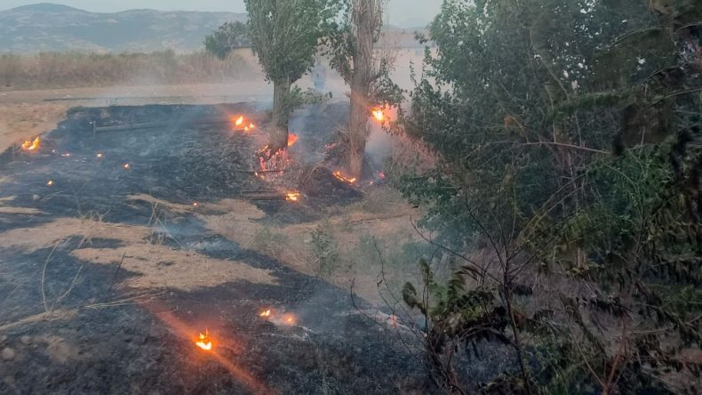 İzmir'de Endişe Yaratan Yangın: İtfaiye Müdahalesiyle Kontrol Altına Alındı