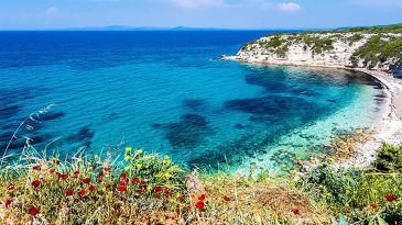 İzmir'de Güneşin En Güzel Doğuşu: Çam Ormanları Arasındaki Sakin Koy