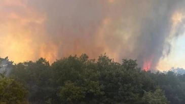 İzmir'de Site Yangını Makilik Alana Sıçradı