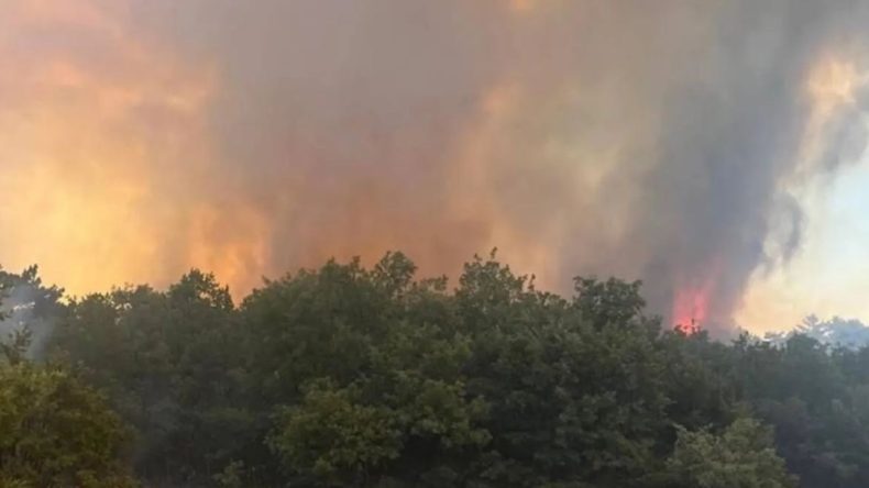 İzmir'de Site Yangını Makilik Alana Sıçradı