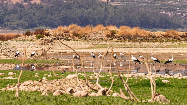 İzmir'de Su Krizi: İZSU Nedenleri Açıkladı