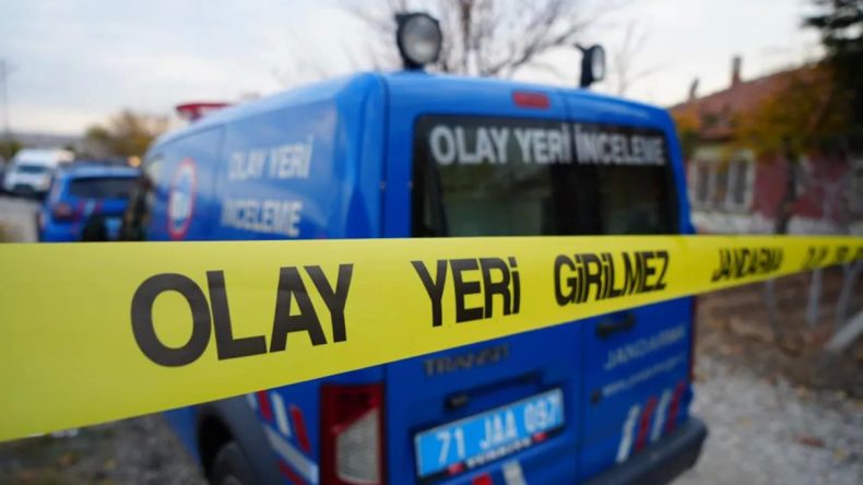 İzmir'de Trajik Kaza: Domuza Çarpan Motosiklet Sürücüsü Hayatını Kaybetti