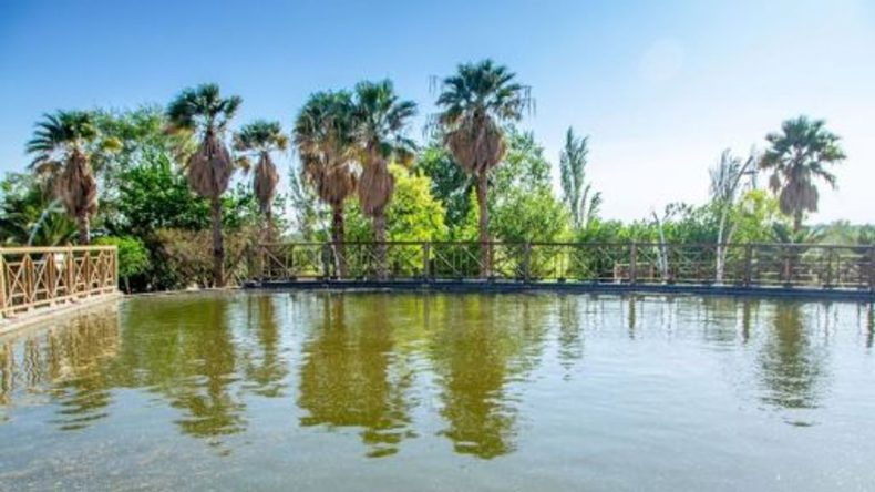 İzmir'e Sadece 40 Dakika Uzaklıkta: Masalsı Bir Piknik Alanı