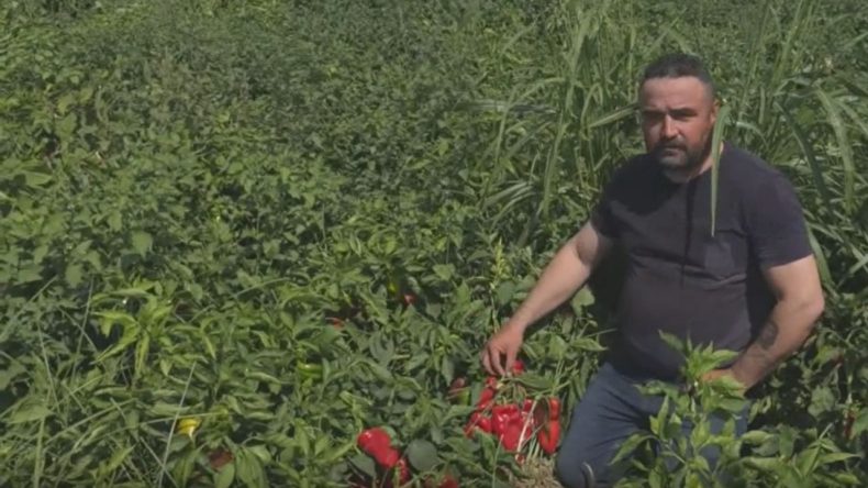 İzmirli Çiftçiden Dikkat Çeken Açıklama: Borçlarımızı Ödeyecek Gücümüz Kalmadı