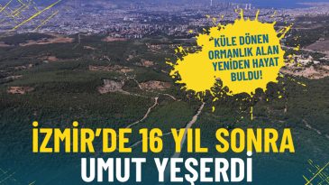 İzmir&rsquo;de 16 Yıl Sonra Umut Yeşerdi: K&uuml;le D&ouml;nen Ormanlık Alan Yeniden Hayat Buldu