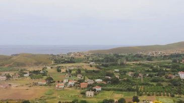 Karaburun'da Deniz Kenarındaki Yemyeşil Köy: Sadece 535 Kişi Yaşıyor