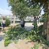 Karşıyaka'da Parklarda Yenileme Çalışmaları Devam Ediyor
