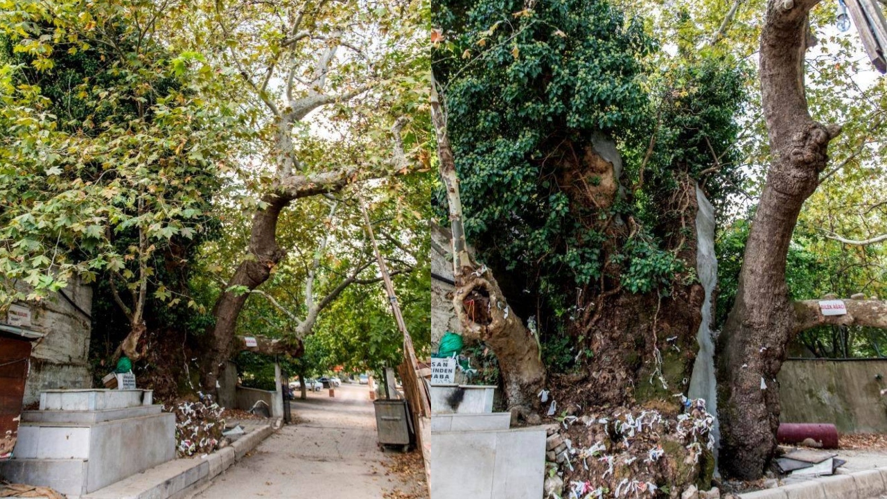 Hakkı Baba Türbesi