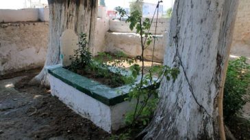 Kesik Baş T&uuml;rbesi: Sasa Bey&rsquo;in trajik hikayesi İzmir'de anılıyor