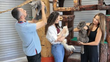 Konak'ta Y&uuml;zlerce Sokak Hayvanı Sahiplendirildi