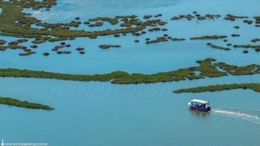 Kuşların Yaşam Alanı İzmirlilere Açıldı: Flamingo Yolu Tekne Turu Başladı