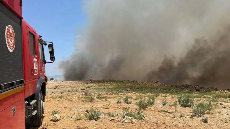 Selçuk'ta Korkutan Yangın: Alevler Yerleşim Alanına Sıçradı!