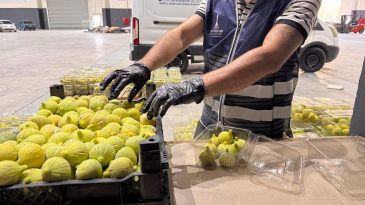 Tarladan Sofraya Dayanışma: 2 Bin Kilo İncir İzmirlilere Ulaştırıldı