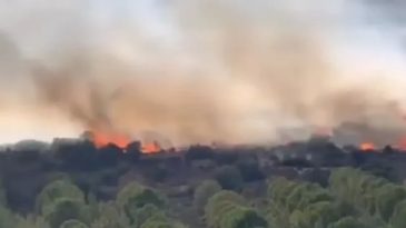 Urla’da Korkutan Yangın: Alevler Gökyüzünü Sardı