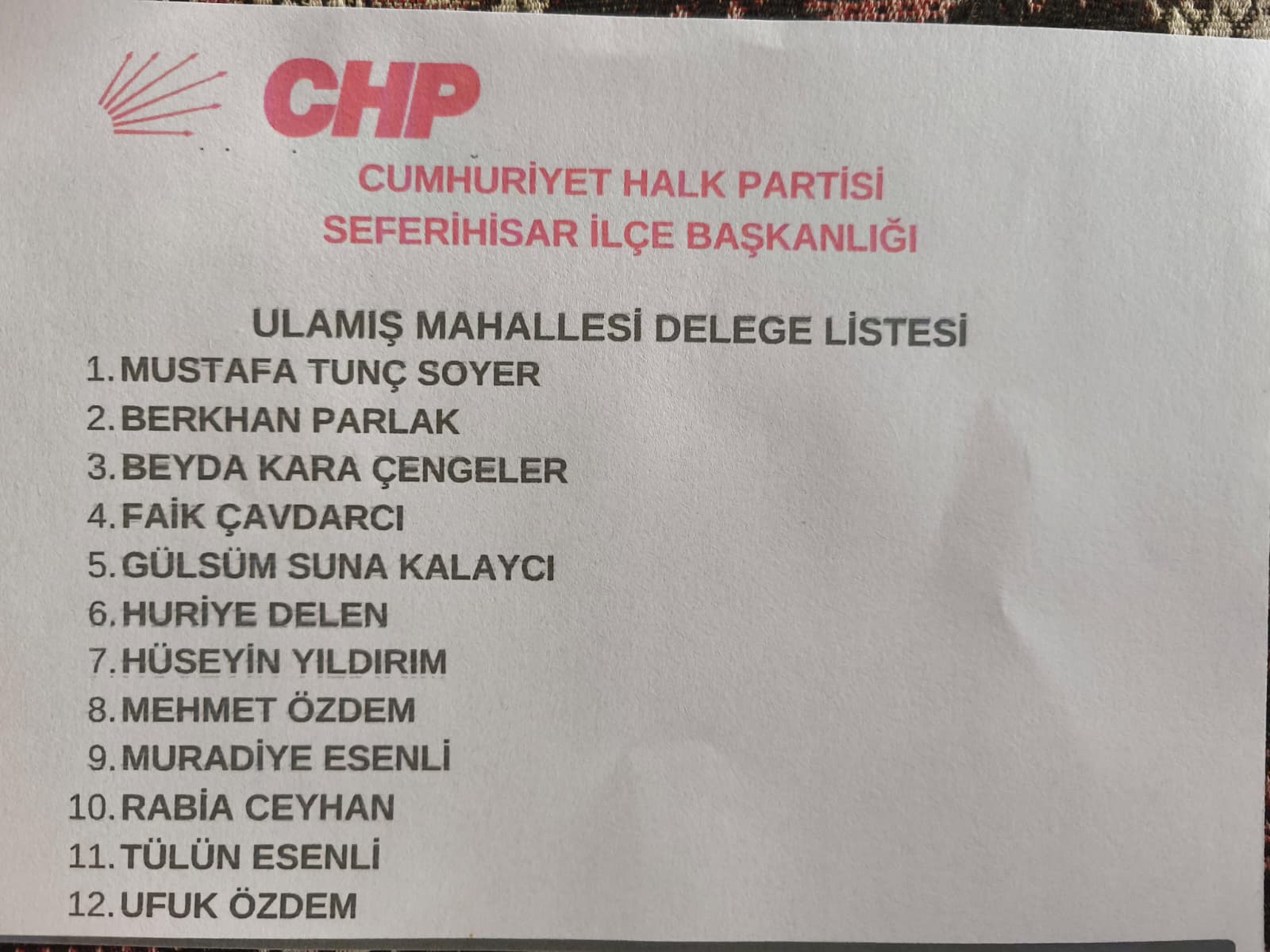Delege Seçimleri