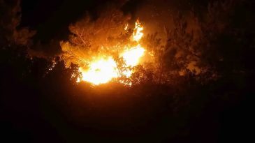 İzmir'de 8 Ayda 11 Bin 564 Yangın: 10 Milyar TL Zarar!