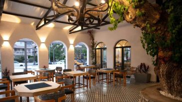 İzmir'de Ağa&ccedil;la B&uuml;y&uuml;leyen Bir Kafe: &Ccedil;ay 10, Tost 50 TL