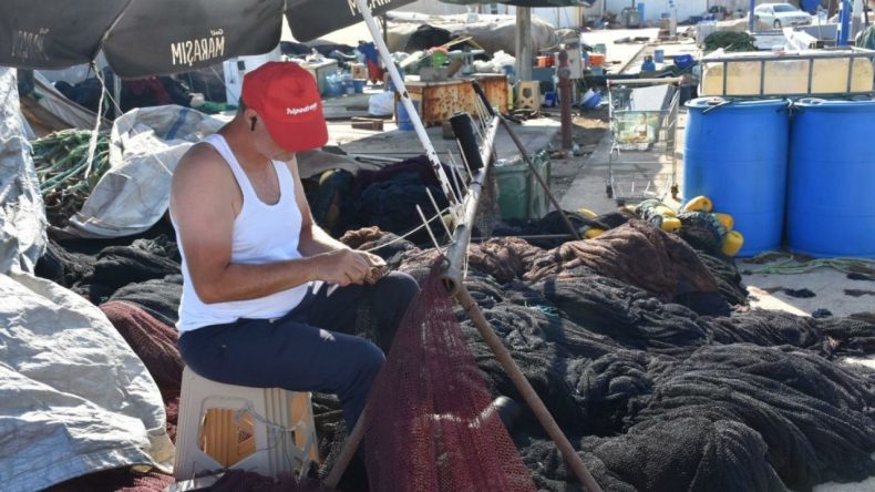 İzmir'de Balıkçılık Krizi: 70 Bin TL Maaşla Çalışan Yok