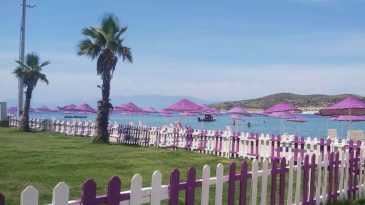 İzmir'de Gençlere Özel Ücretsiz Kamp: 3 Gün Boyunca Eğlenceli Etkinlikler