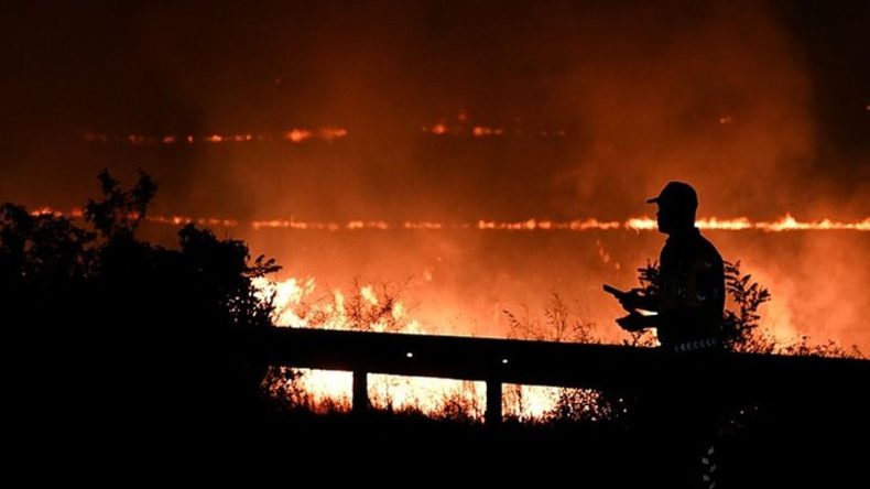 İzmir'de Orman Yangınına Neden Olan Şüphelinin Yargı Süreci Devam Ediyor
