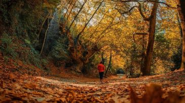 İzmir'de Sonbahar Mevsiminde Keşfetmeniz Gereken 10 Doğal G&uuml;zellik