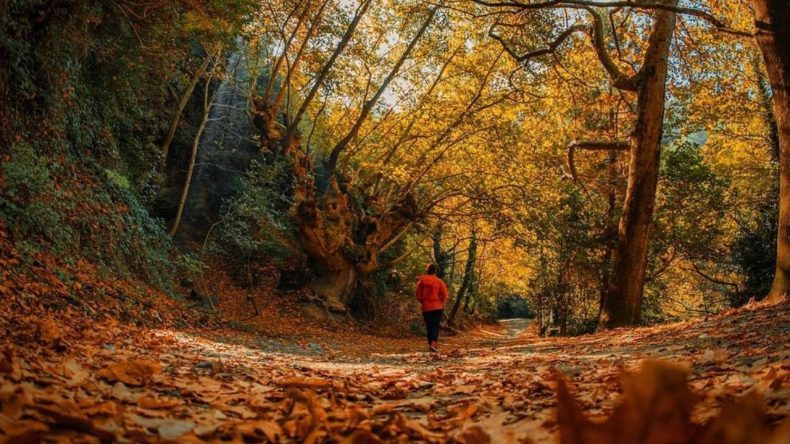 İzmir'de Sonbahar Mevsiminde Keşfetmeniz Gereken 10 Doğal Güzellik