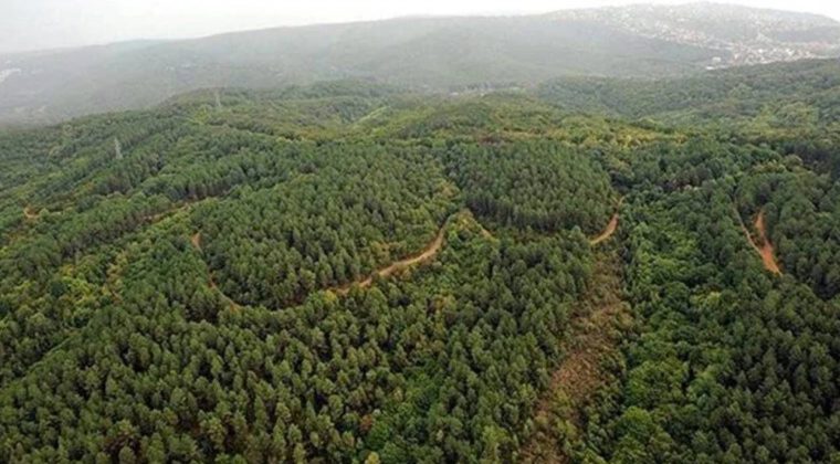 İzmir’in Oksijen Kaynağı Karagöl Ormanı'na Tehdit: ÇED Süreci Başlatıldı