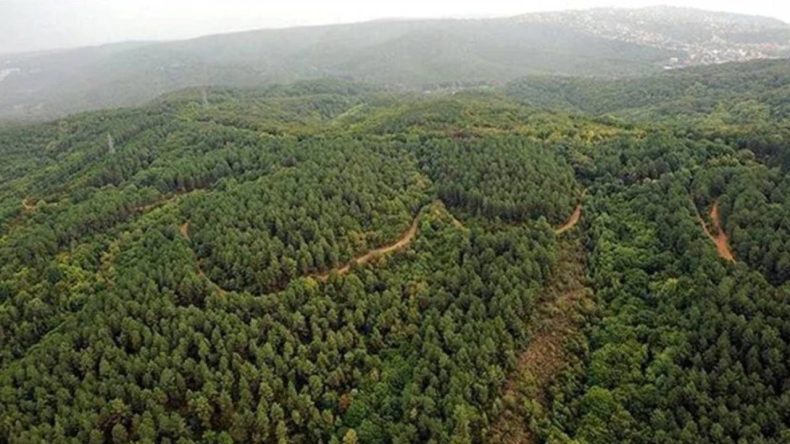 İzmir’in Oksijen Kaynağı Karagöl Ormanı'na Tehdit: ÇED Süreci Başlatıldı
