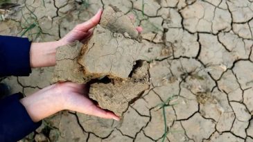 TMMOB'dan Su Kesintileri İçin Detaylı Açıklama