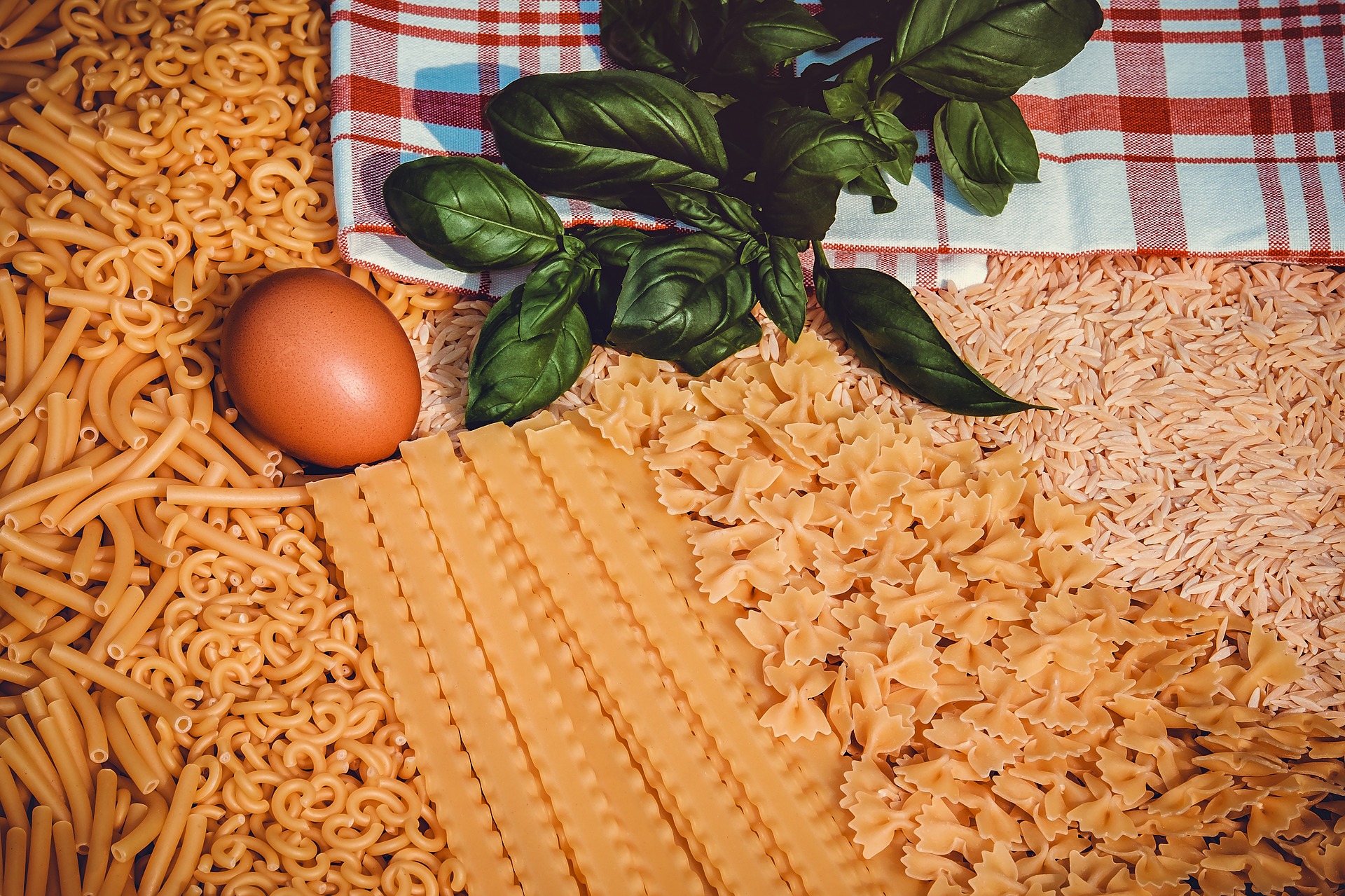 Makarna İhracatı