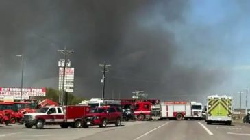 ABD'de Uçak Kazası: Can Kaybı Yaşandı!