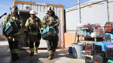 Bayraklı Hayvan Barınağı’nda Orman Yangını Tatbikatı