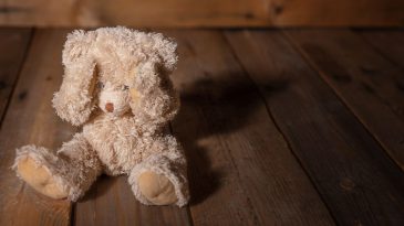 Çocuk İstismarı: Karanlık Gerçekler ve Bütüncül Politikaların Önemi