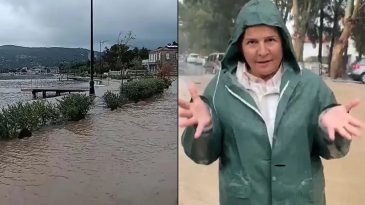 Cumhurbaşkanı Danışmanından Fıçı’nın Çağrısına Yanıt: Abla, Belediyeyi Arasana