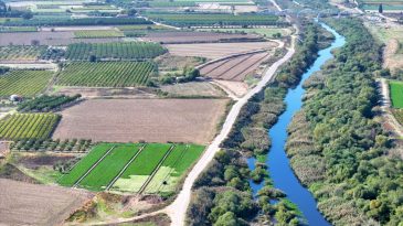 Ekim Yağmurları İzmir'deki Çiftçiler İçin Umut Oldu
