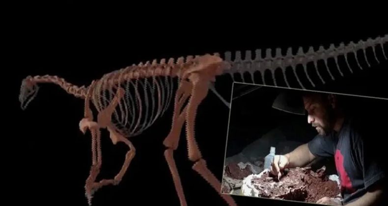 En Eski Dinozorun Kemikleri Bulundu: 230 Milyon Yıl Önce Yaşadı!