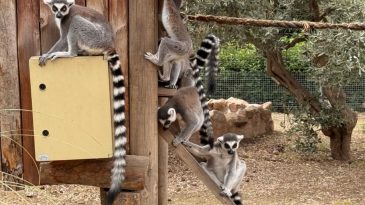 Endüstriyel Tasarım Bölümü Öğrencileri ve Öğretim Elemanları İzmir Doğal Yaşam Parkı'nda Buluştu