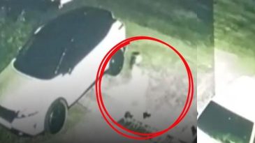 İzmir’de 13 Yaşındaki Kız Çocuğu Kayboldu: AFAD ve Jandarma Arama Çalışmalarını Sürdürüyor