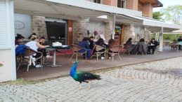 İzmir’de Tasarım ve Doğa Buluştu