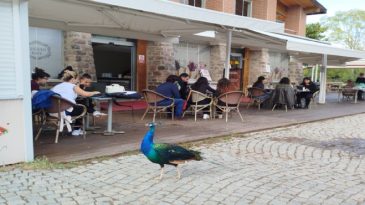 İzmir&rsquo;de Tasarım ve Doğa Buluştu