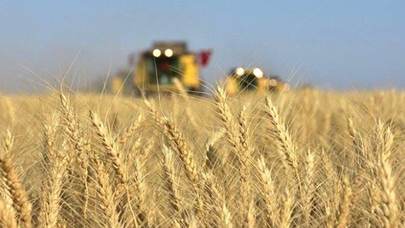 Tarım, Gıda ve Yoksulluk Üzerine Panel: Uzmanlar Bir Araya Geliyor