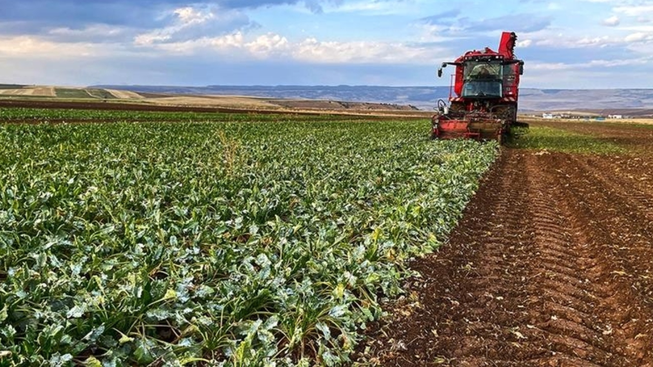 Tarım ve Orman Bakanı İbrahim Yumaklı
